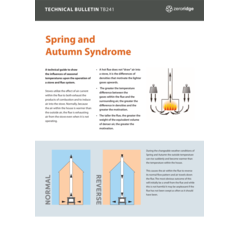 Spring and Autumn Syndrome effecting chimneys