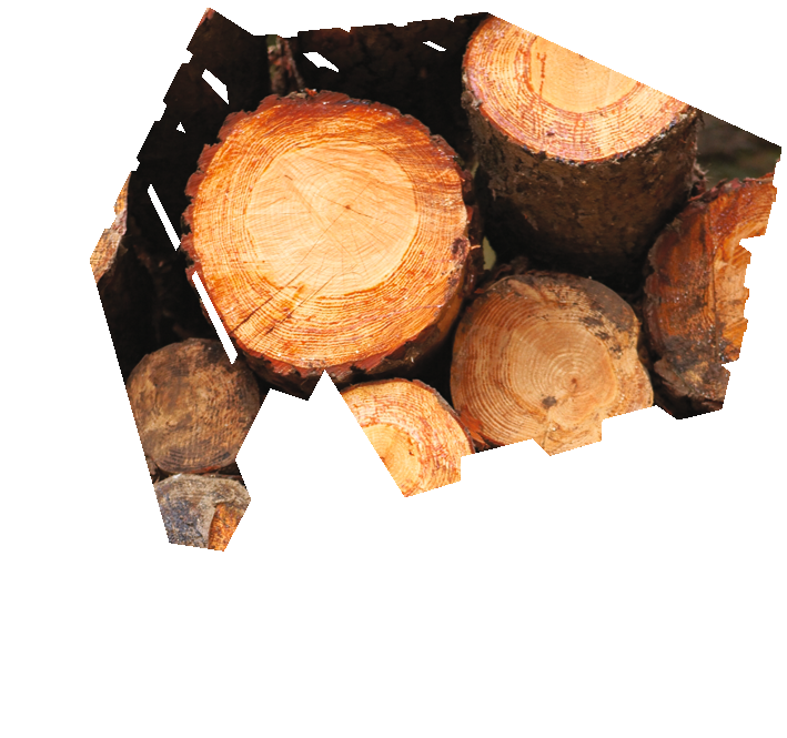 Wood log fuel