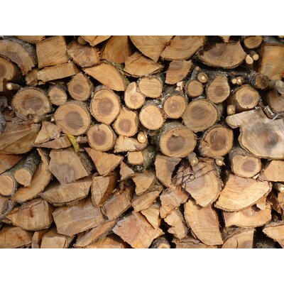 Split fire wood logs